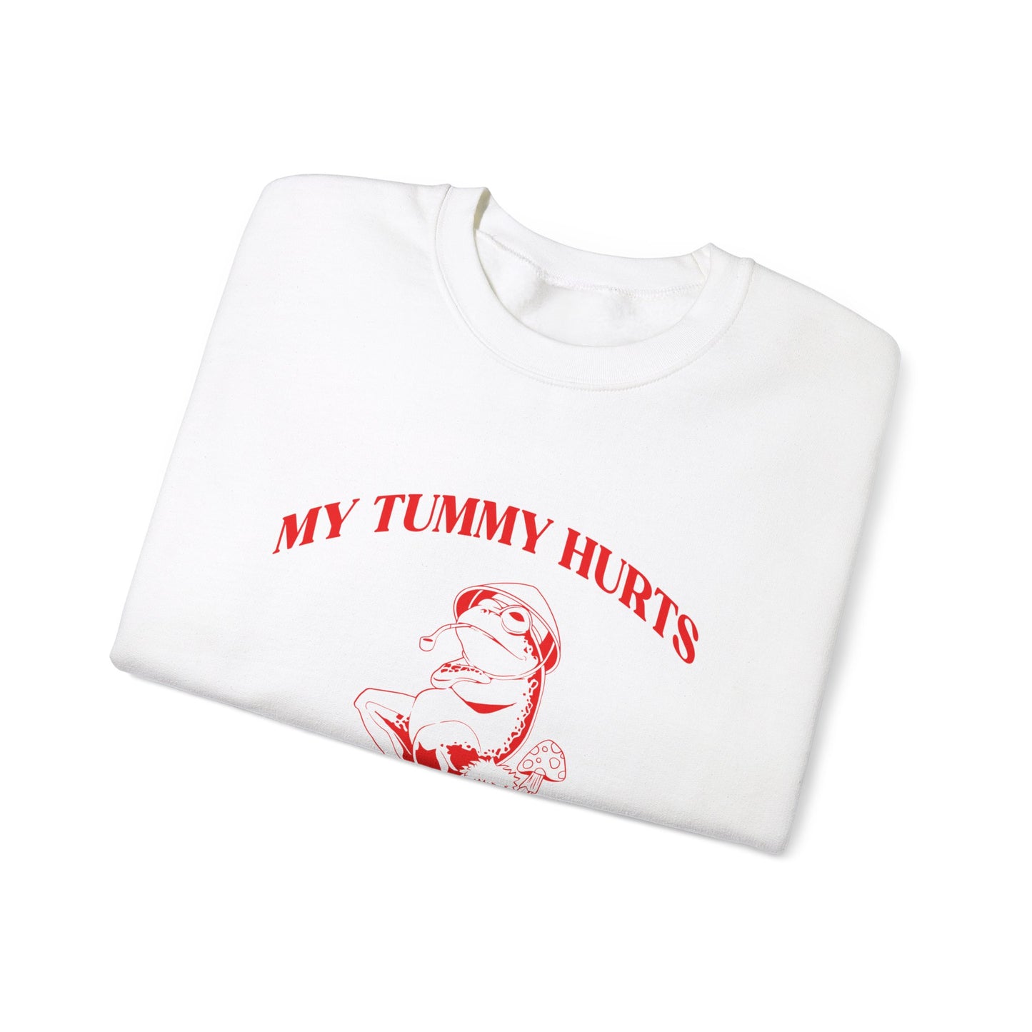 My Tummy Hurts But Im Really Being Brave About It Sweatshirt, Funny Bravery Sweatshirt, Chronic Illness Sweatshirt, Frog Sweatshirt, T1583