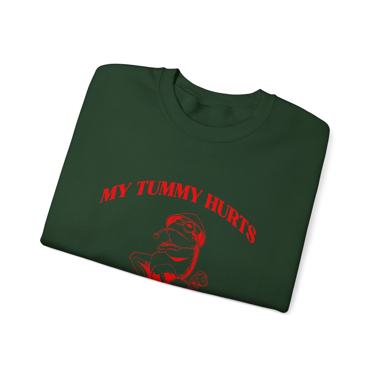 My Tummy Hurts But Im Really Being Brave About It Sweatshirt, Funny Bravery Sweatshirt, Chronic Illness Sweatshirt, Frog Sweatshirt, T1583