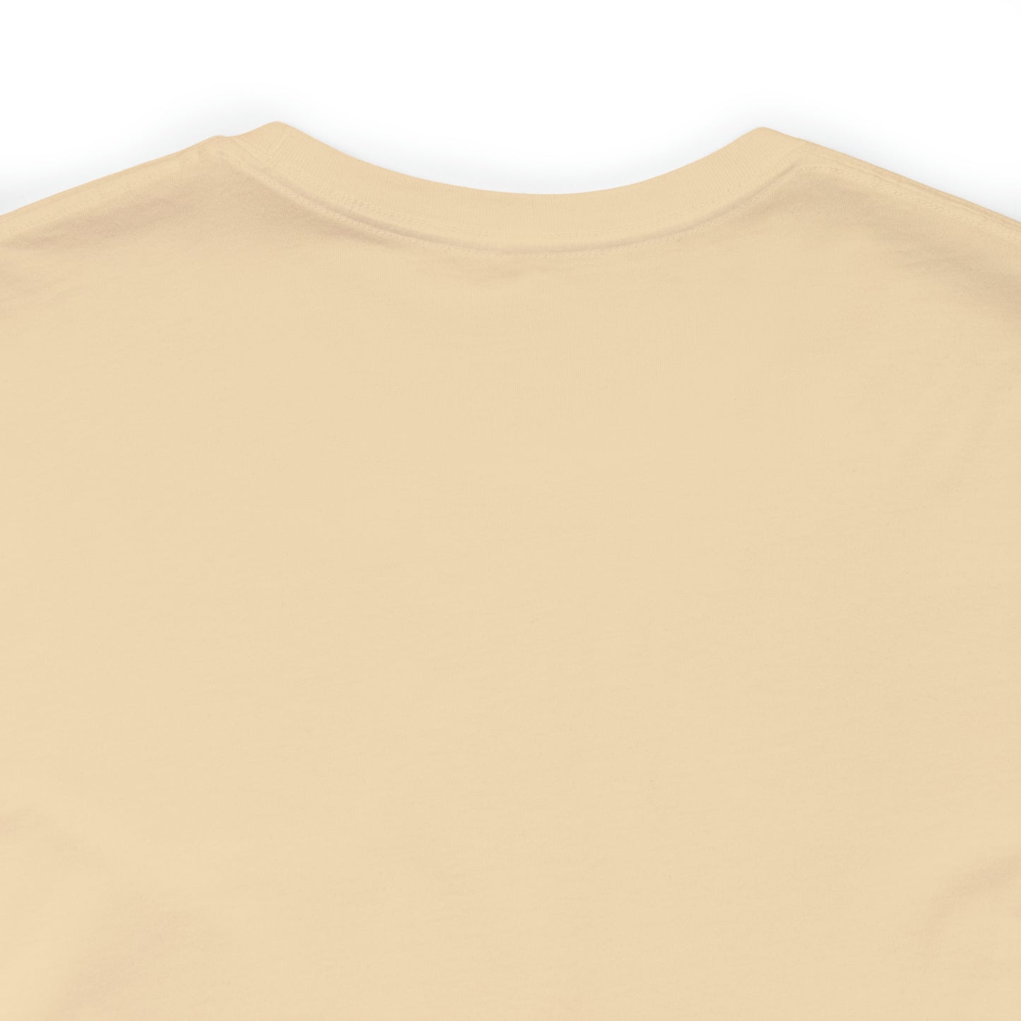 Pre k teacher shirt, welcome back to school, best teacher t shirt, T161
