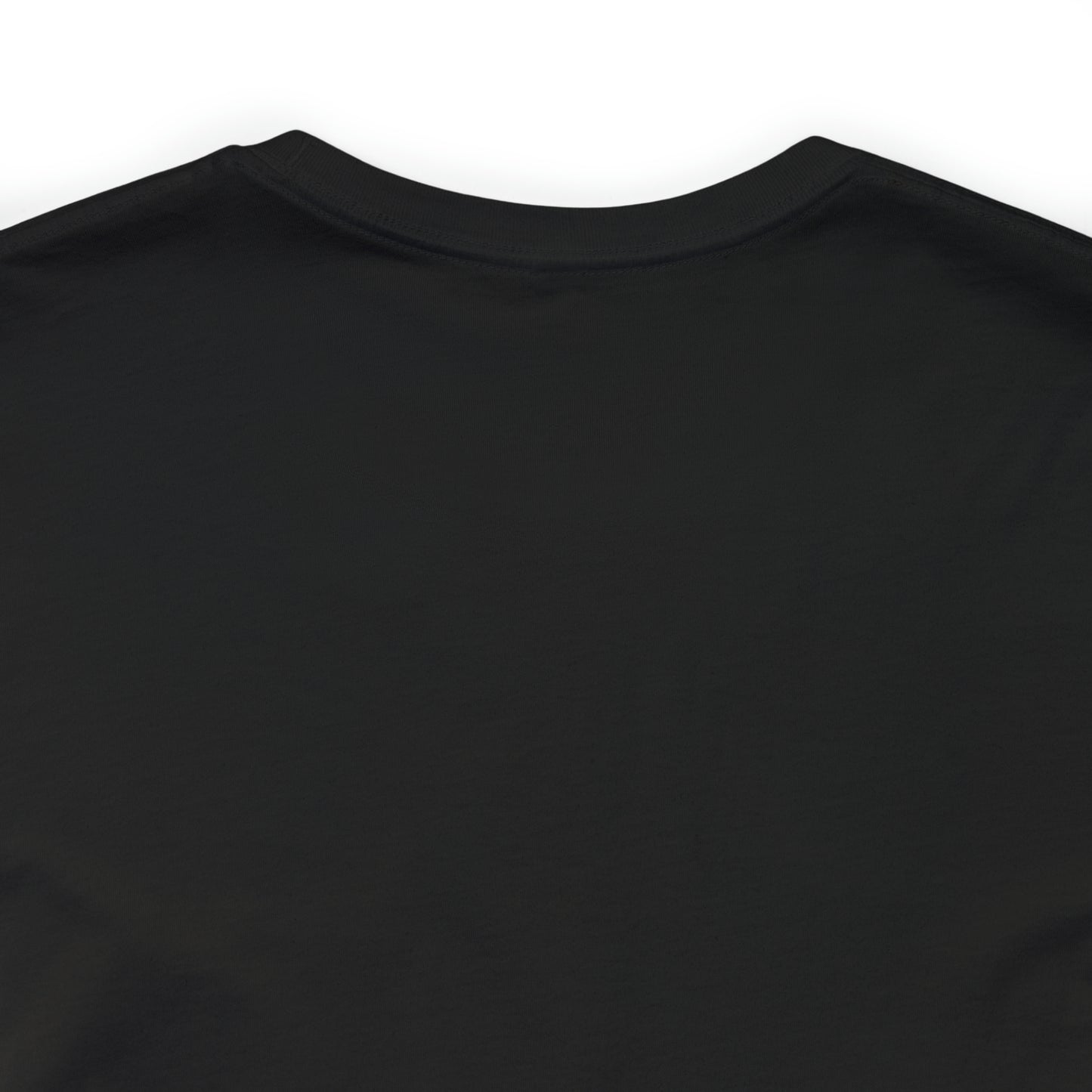Pre k teacher shirt, welcome back to school, best teacher t shirt, T161