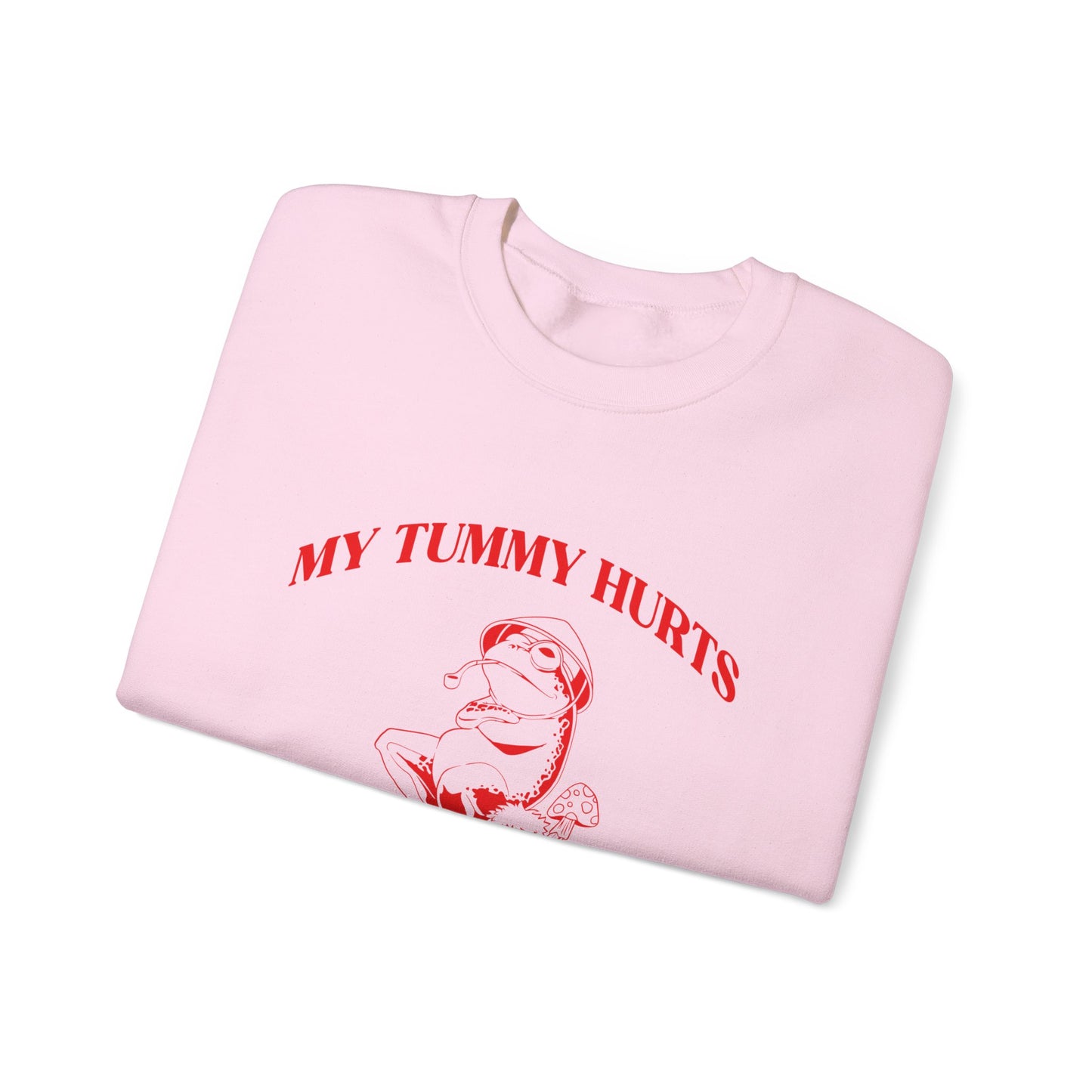 My Tummy Hurts But Im Really Being Brave About It Sweatshirt, Funny Bravery Sweatshirt, Chronic Illness Sweatshirt, Frog Sweatshirt, T1583
