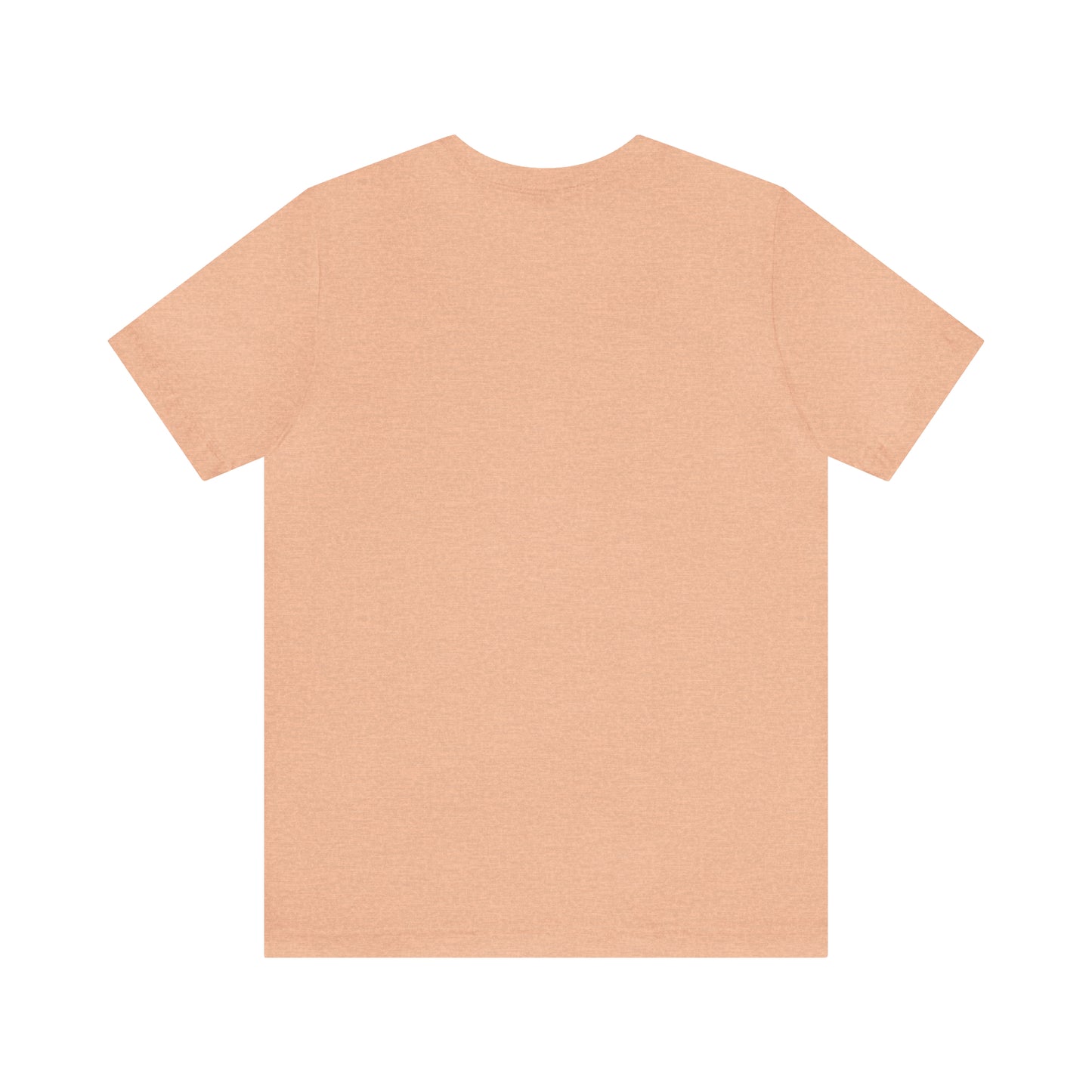 Pre k teacher shirt, welcome back to school, best teacher t shirt, T161