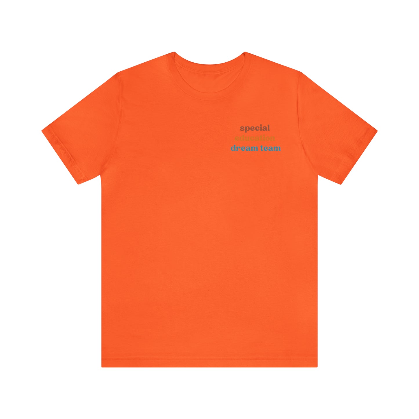 Special Education Dream Team Shirt, Cute SPED Teacher Shirt, Teacher Appreciation Shirt, Best Teacher Shirt, T580