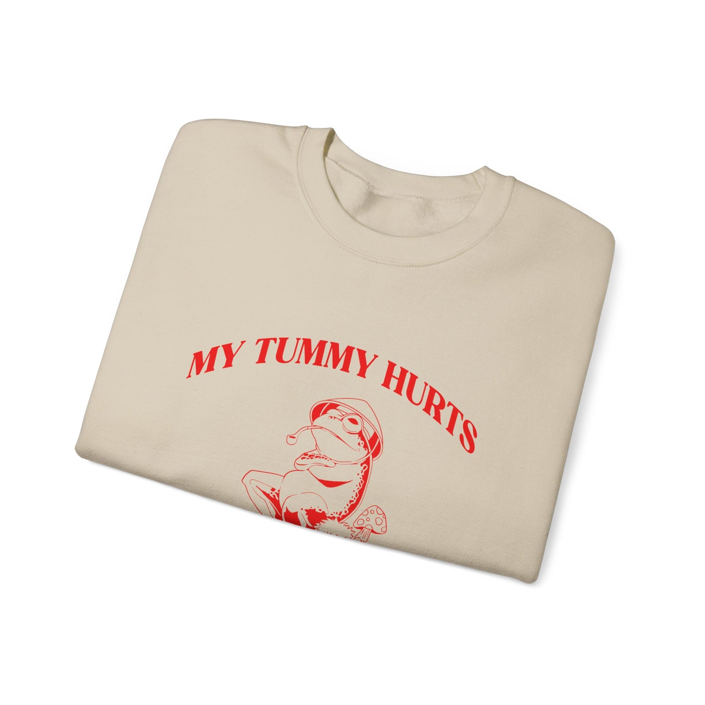 My Tummy Hurts But Im Really Being Brave About It Sweatshirt, Funny Bravery Sweatshirt, Chronic Illness Sweatshirt, Frog Sweatshirt, T1583