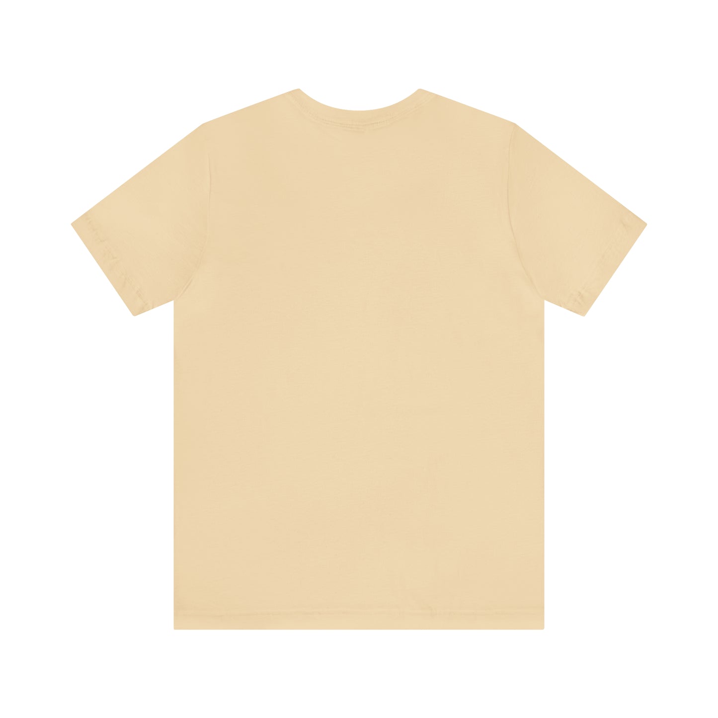 Pre k teacher shirt, welcome back to school, best teacher t shirt, T161
