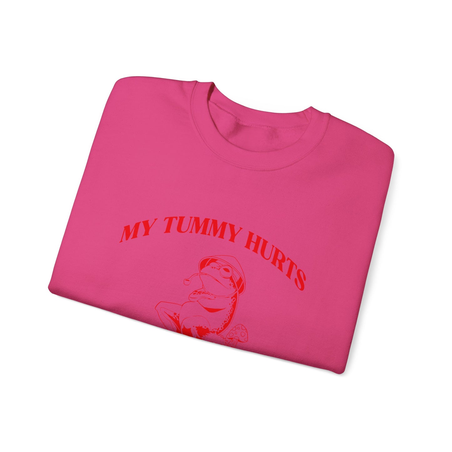 My Tummy Hurts But Im Really Being Brave About It Sweatshirt, Funny Bravery Sweatshirt, Chronic Illness Sweatshirt, Frog Sweatshirt, T1583