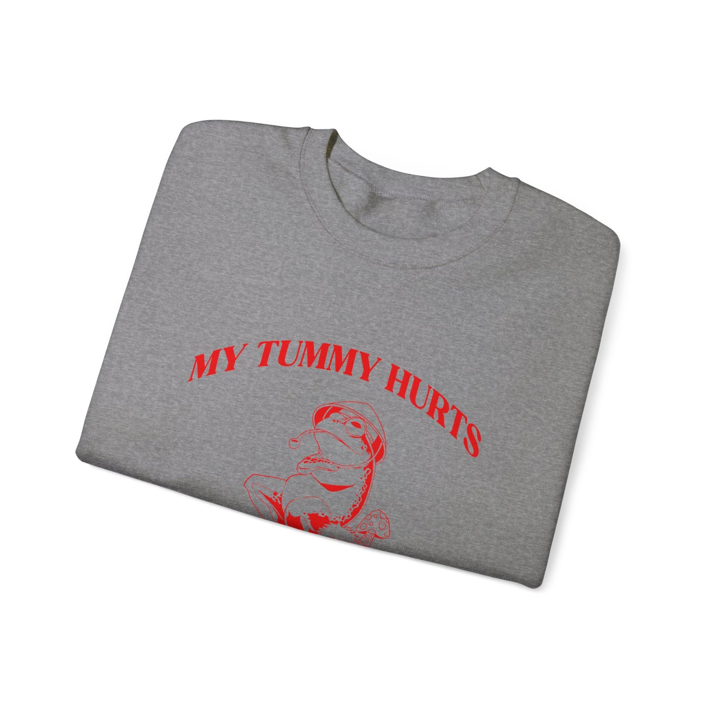 My Tummy Hurts But Im Really Being Brave About It Sweatshirt, Funny Bravery Sweatshirt, Chronic Illness Sweatshirt, Frog Sweatshirt, T1583