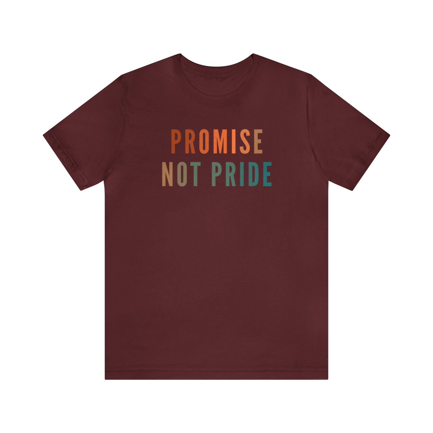 God's Promise Shirt, Promise Not Pride Shirt, Christian Shirt, Bible Verse Shirt, Faith Shirt, T346