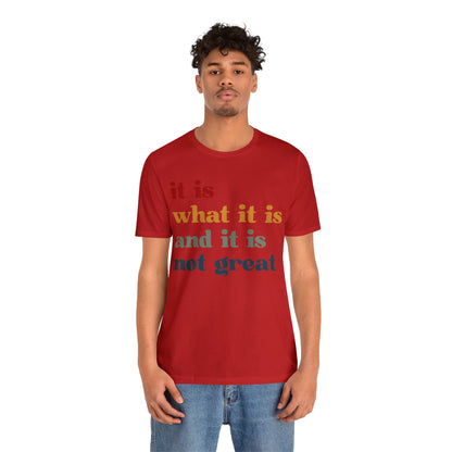 It Is What It Is And It Is Not Great Shirt, Funny Quote Shirt, Funny Meme Shirt, Funny Mood Shirt, Shirt for Women, Gift for Women, T1512