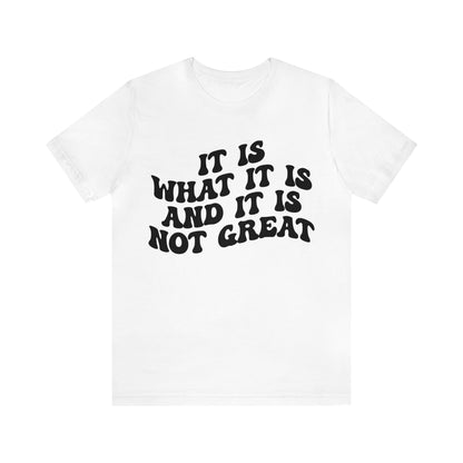 It Is What It Is And It Is Not Great Shirt, Funny Quote Shirt, Funny Meme Shirt, Funny Mood Shirt, Shirt for Women, Gift for Women, T1514