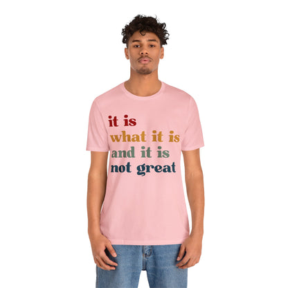 It Is What It Is And It Is Not Great Shirt, Funny Quote Shirt, Funny Meme Shirt, Funny Mood Shirt, Shirt for Women, Gift for Women, T1512