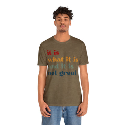 It Is What It Is And It Is Not Great Shirt, Funny Quote Shirt, Funny Meme Shirt, Funny Mood Shirt, Shirt for Women, Gift for Women, T1512