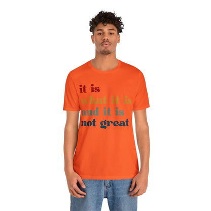It Is What It Is And It Is Not Great Shirt, Funny Quote Shirt, Funny Meme Shirt, Funny Mood Shirt, Shirt for Women, Gift for Women, T1512
