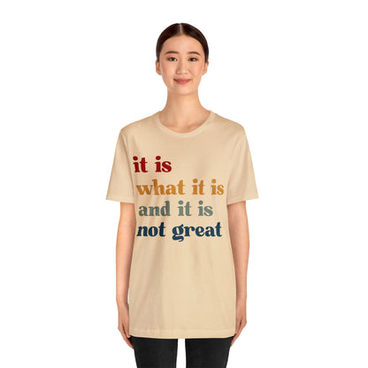 It Is What It Is And It Is Not Great Shirt, Funny Quote Shirt, Funny Meme Shirt, Funny Mood Shirt, Shirt for Women, Gift for Women, T1512