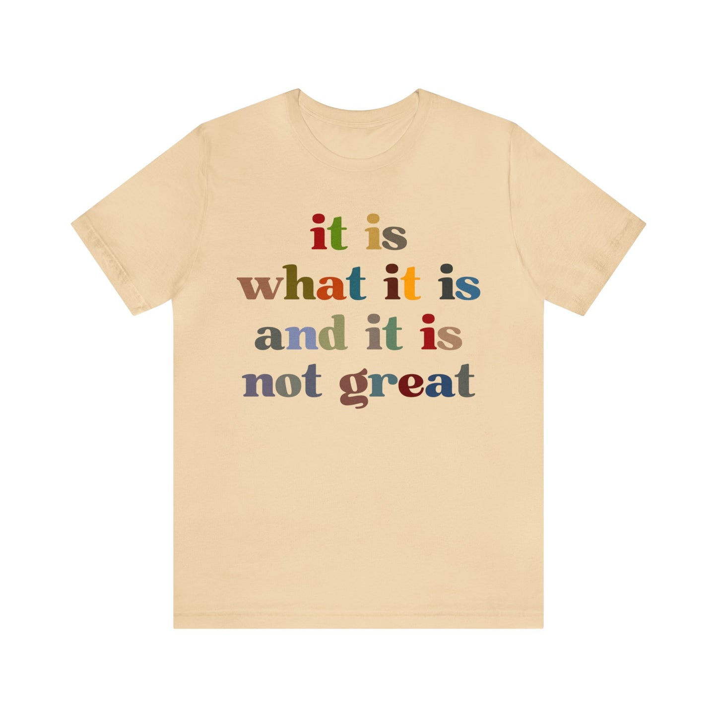 It Is What It Is And It Is Not Great Shirt, Funny Quote Shirt, Funny Meme Shirt, Funny Mood Shirt, Shirt for Women, Gift for Women, T1511