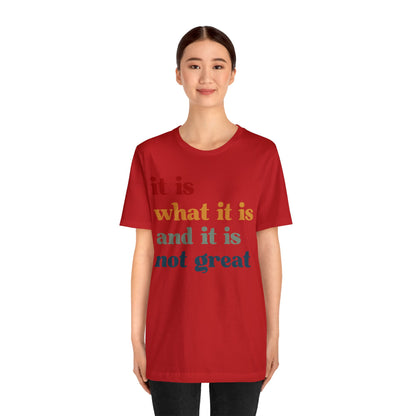 It Is What It Is And It Is Not Great Shirt, Funny Quote Shirt, Funny Meme Shirt, Funny Mood Shirt, Shirt for Women, Gift for Women, T1512