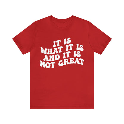 It Is What It Is And It Is Not Great Shirt, Funny Quote Shirt, Funny Meme Shirt, Funny Mood Shirt, Shirt for Women, Gift for Women, T1514