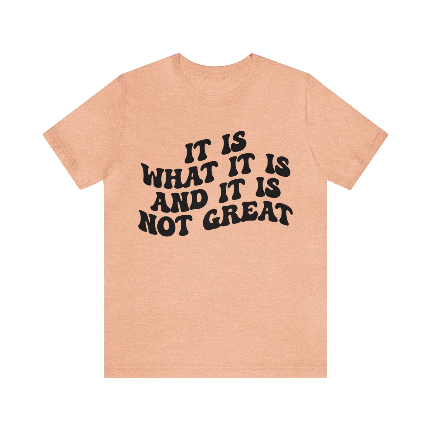 It Is What It Is And It Is Not Great Shirt, Funny Quote Shirt, Funny Meme Shirt, Funny Mood Shirt, Shirt for Women, Gift for Women, T1514