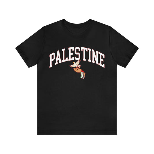 Free Palestine Shirt, All Profit Support Palestine, Free Palestine Sweater, Palestine Flag Crewneck, Stand With Palestine Shirt, T1365