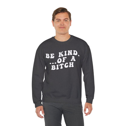 Be Kind Of A Bitch Sweatshirt, Funny Girls Sweatshirt, Funny Sassy Sweatshirt, Sarcasm Sweatshirt for Women, Funny Gift for Friends, S1197