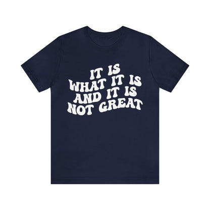 It Is What It Is And It Is Not Great Shirt, Funny Quote Shirt, Funny Meme Shirt, Funny Mood Shirt, Shirt for Women, Gift for Women, T1514