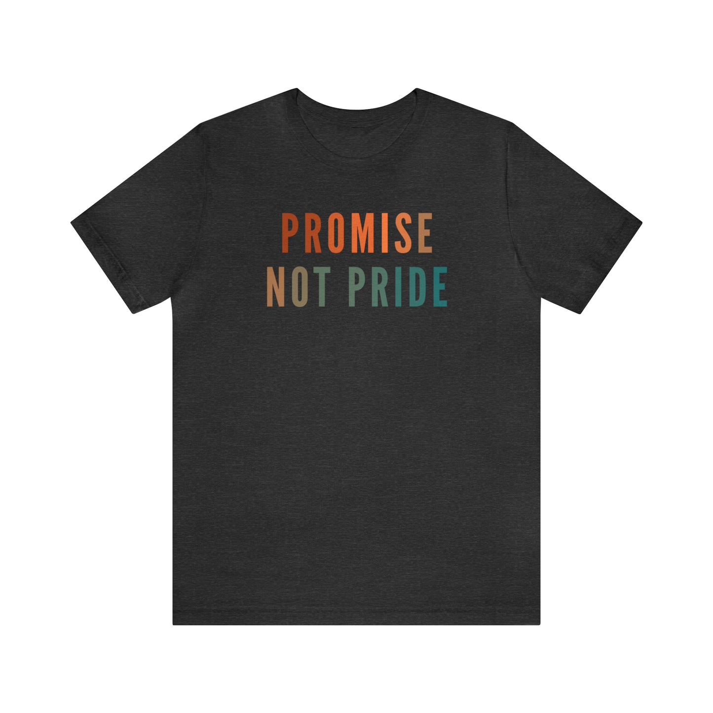 God's Promise Shirt, Promise Not Pride Shirt, Christian Shirt, Bible Verse Shirt, Faith Shirt, T346