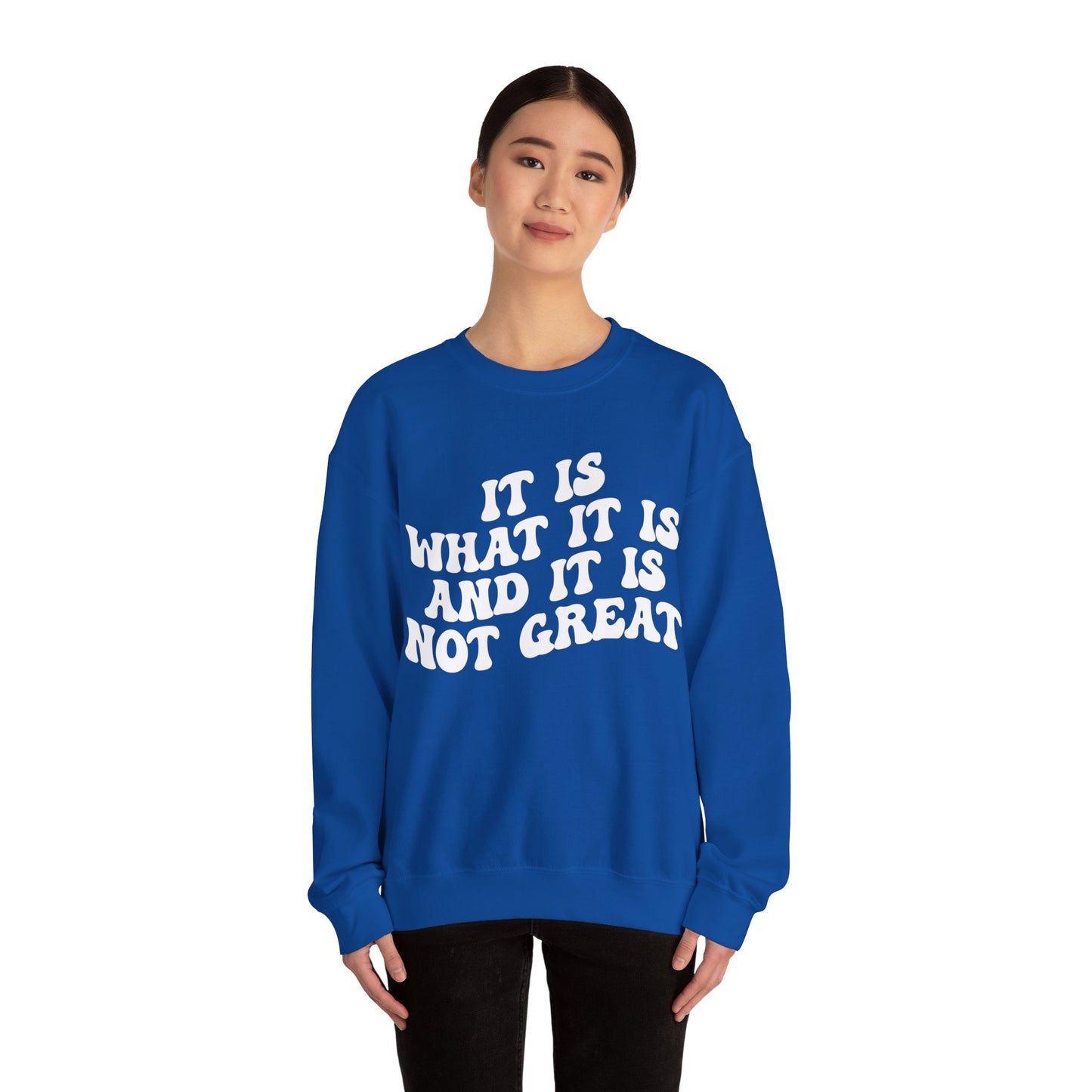 It Is What It Is And It Is Not Great Sweatshirt, Funny Quote Sweatshirt, Funny Meme Sweatshirt, Funny Mood Sweatshirt, S1514