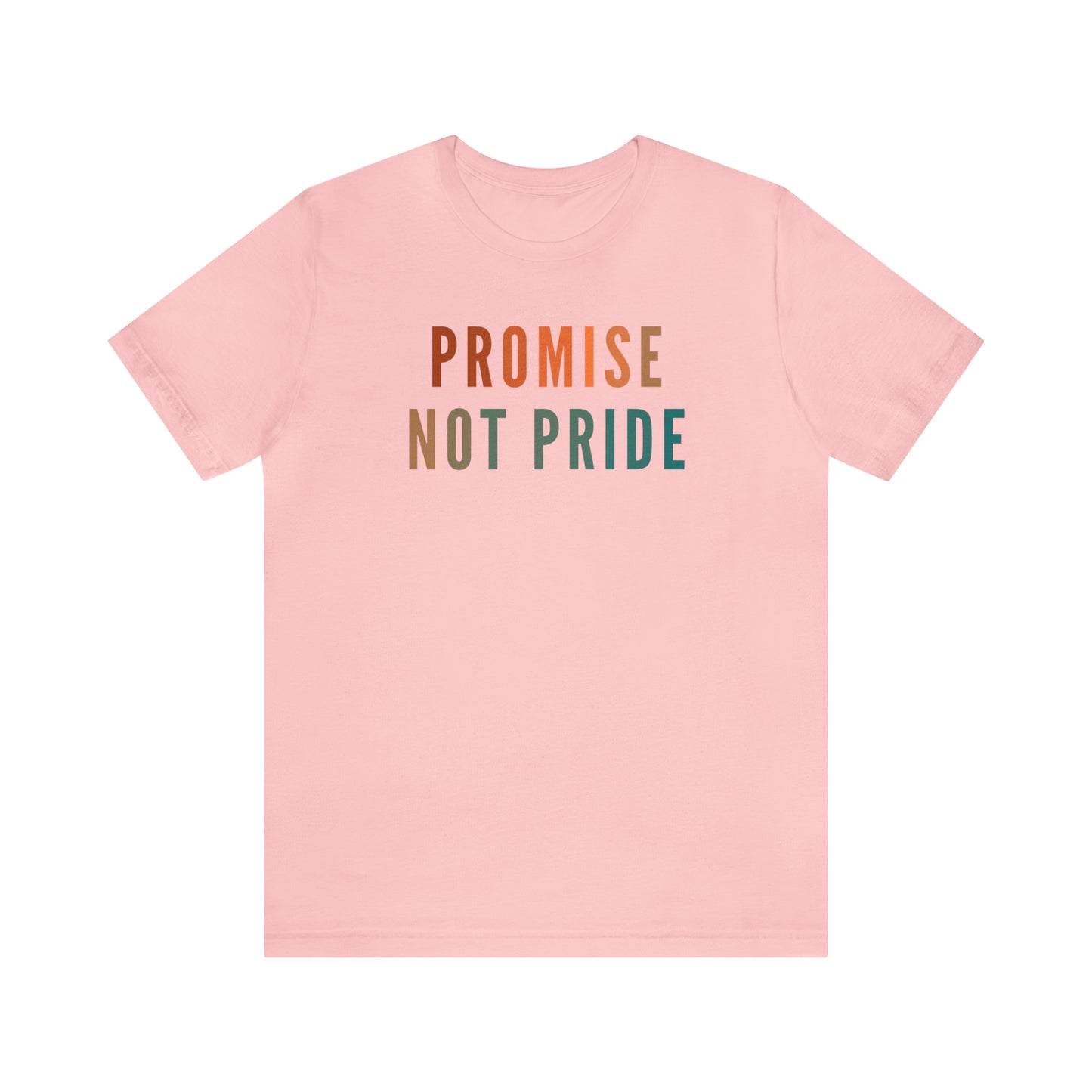 God's Promise Shirt, Promise Not Pride Shirt, Christian Shirt, Bible Verse Shirt, Faith Shirt, T346