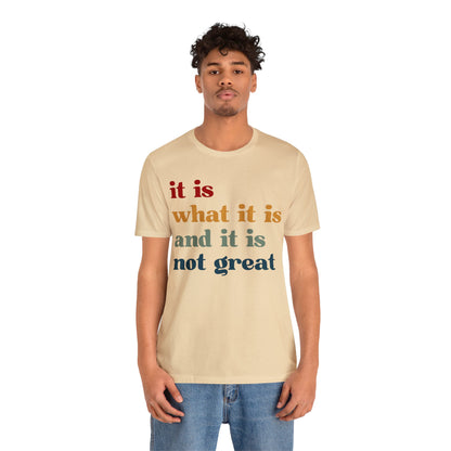 It Is What It Is And It Is Not Great Shirt, Funny Quote Shirt, Funny Meme Shirt, Funny Mood Shirt, Shirt for Women, Gift for Women, T1512