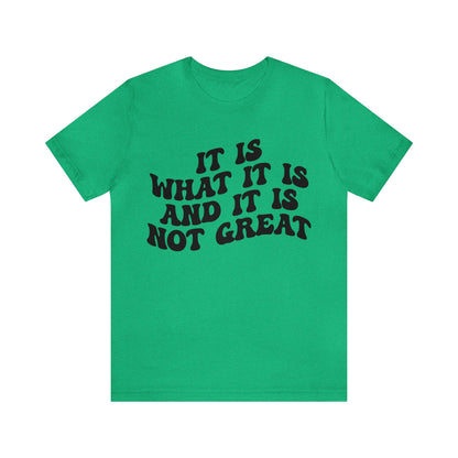 It Is What It Is And It Is Not Great Shirt, Funny Quote Shirt, Funny Meme Shirt, Funny Mood Shirt, Shirt for Women, Gift for Women, T1514