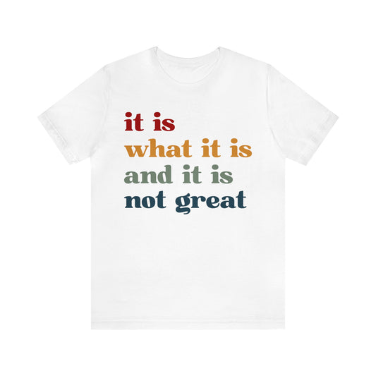 It Is What It Is And It Is Not Great Shirt, Funny Quote Shirt, Funny Meme Shirt, Funny Mood Shirt, Shirt for Women, Gift for Women, T1512