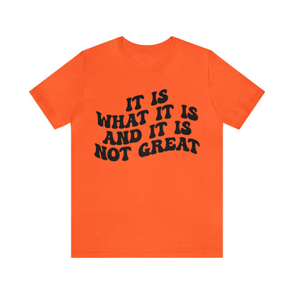 It Is What It Is And It Is Not Great Shirt, Funny Quote Shirt, Funny Meme Shirt, Funny Mood Shirt, Shirt for Women, Gift for Women, T1514