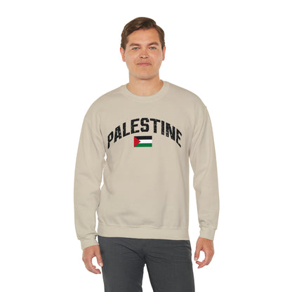 Free Palestine Sweatshirt, Free Palestine Sweatshirt, Palestine Flag Crewneck, Stand With Palestine Shirt, Gift For Palestinian, S847