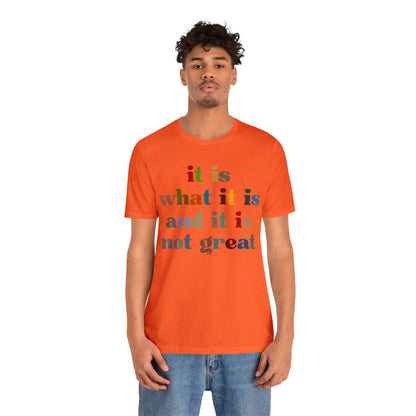 It Is What It Is And It Is Not Great Shirt, Funny Quote Shirt, Funny Meme Shirt, Funny Mood Shirt, Shirt for Women, Gift for Women, T1511