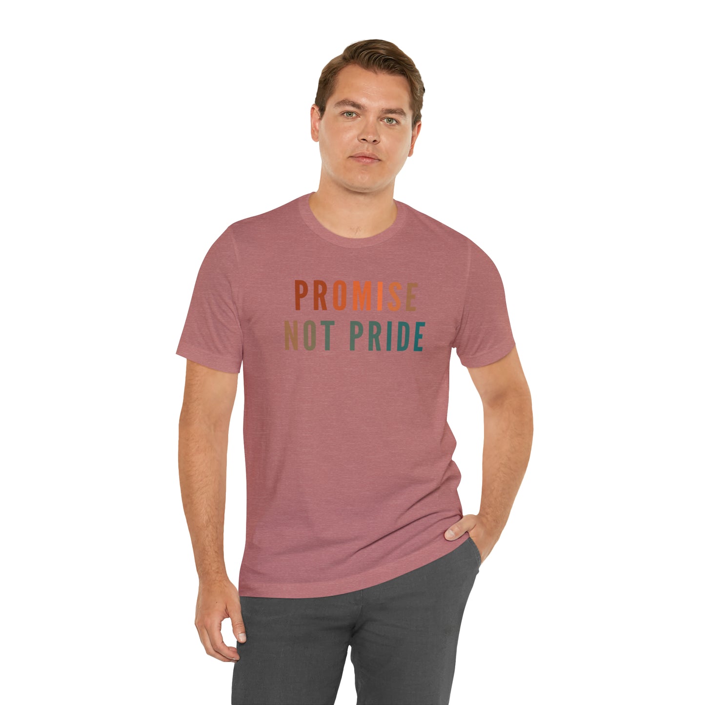 God's Promise Shirt, Promise Not Pride Shirt, Christian Shirt, Bible Verse Shirt, Faith Shirt, T346