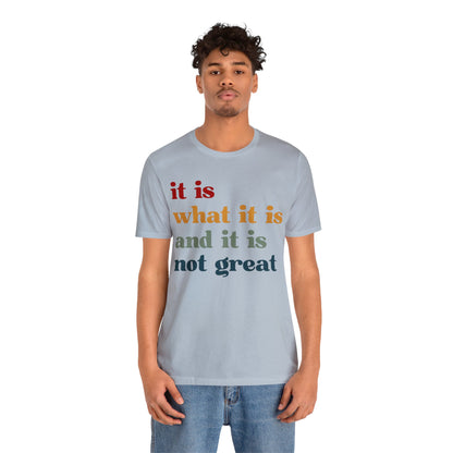 It Is What It Is And It Is Not Great Shirt, Funny Quote Shirt, Funny Meme Shirt, Funny Mood Shirt, Shirt for Women, Gift for Women, T1512