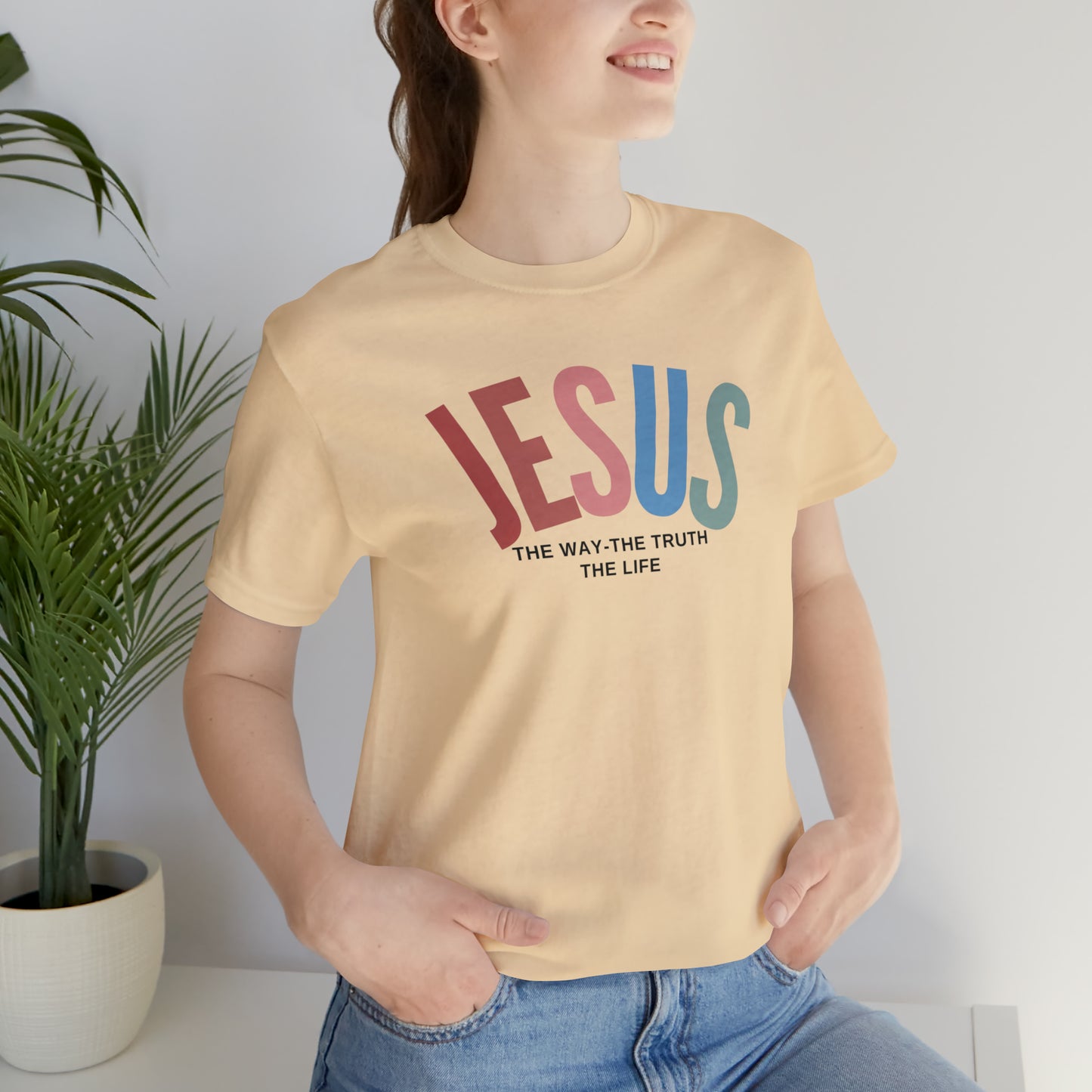 Jesus Tee for Christian Apparel, Jesus The Way The Truth The Life Shirt, Retro Christian Tshirt, T354