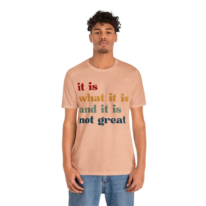 It Is What It Is And It Is Not Great Shirt, Funny Quote Shirt, Funny Meme Shirt, Funny Mood Shirt, Shirt for Women, Gift for Women, T1512