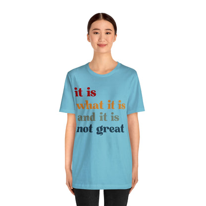 It Is What It Is And It Is Not Great Shirt, Funny Quote Shirt, Funny Meme Shirt, Funny Mood Shirt, Shirt for Women, Gift for Women, T1512