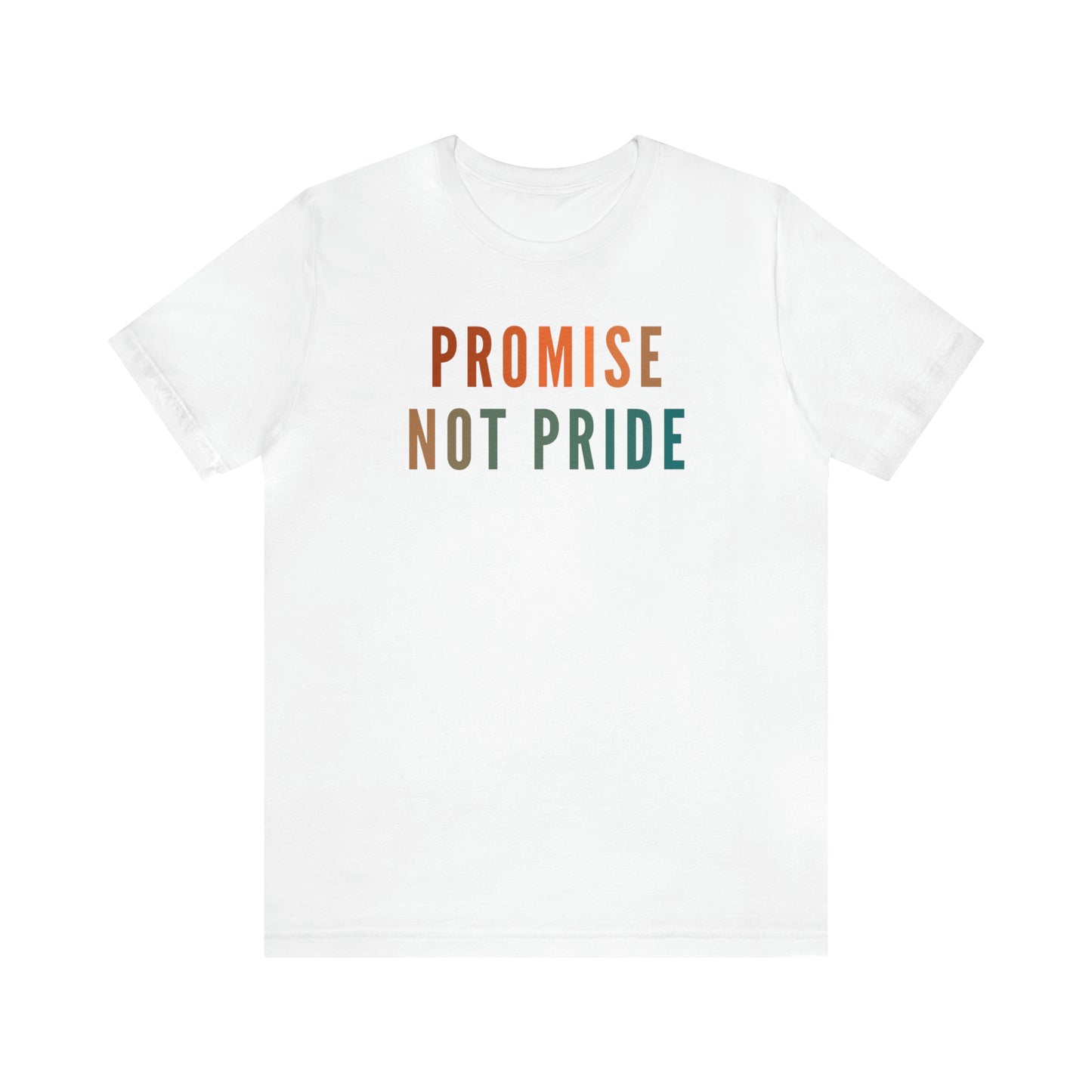 God's Promise Shirt, Promise Not Pride Shirt, Christian Shirt, Bible Verse Shirt, Faith Shirt, T346