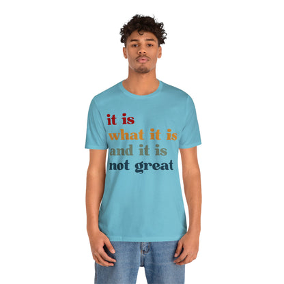 It Is What It Is And It Is Not Great Shirt, Funny Quote Shirt, Funny Meme Shirt, Funny Mood Shirt, Shirt for Women, Gift for Women, T1512