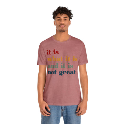 It Is What It Is And It Is Not Great Shirt, Funny Quote Shirt, Funny Meme Shirt, Funny Mood Shirt, Shirt for Women, Gift for Women, T1512