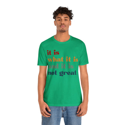 It Is What It Is And It Is Not Great Shirt, Funny Quote Shirt, Funny Meme Shirt, Funny Mood Shirt, Shirt for Women, Gift for Women, T1512