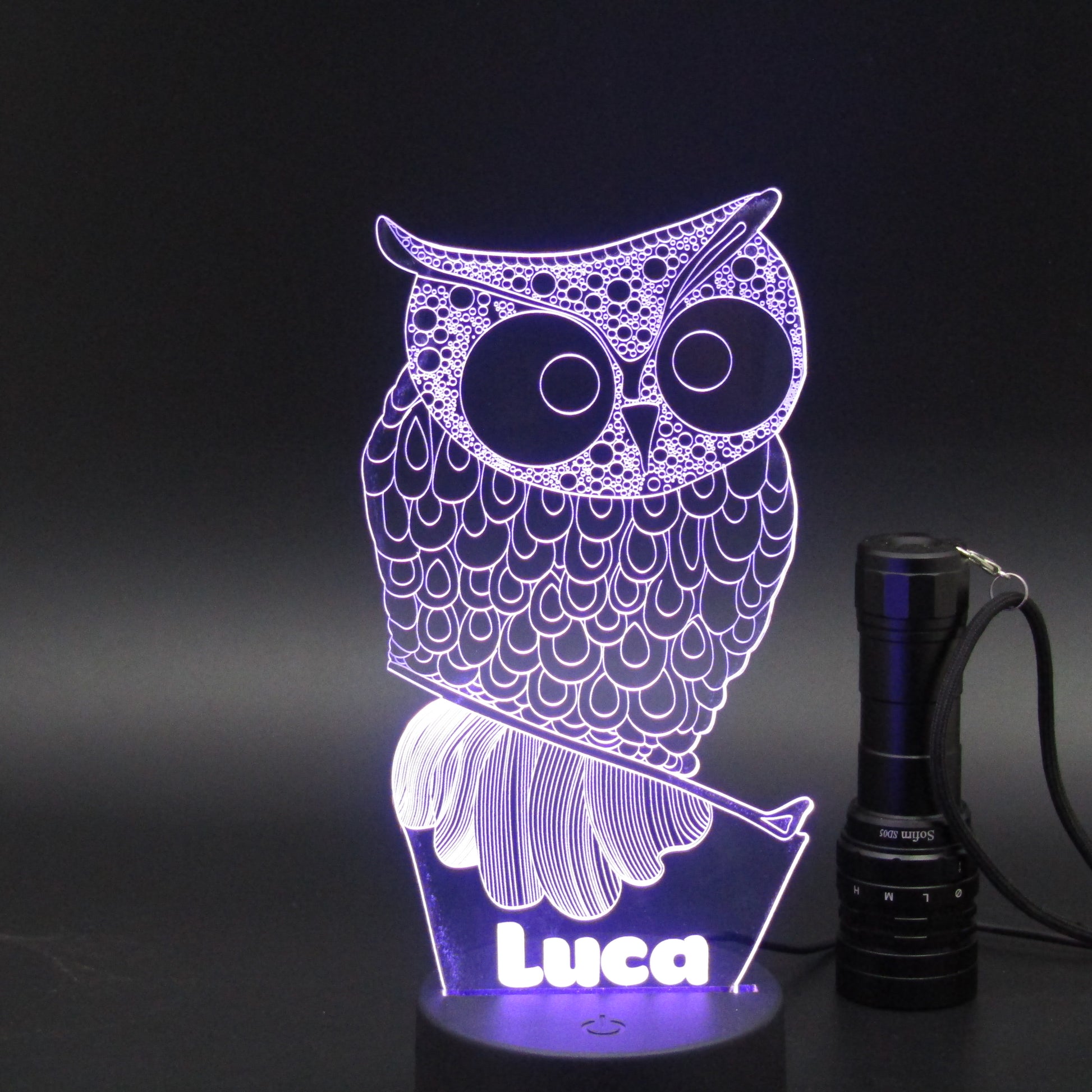 Personalized owl bird 3D night light