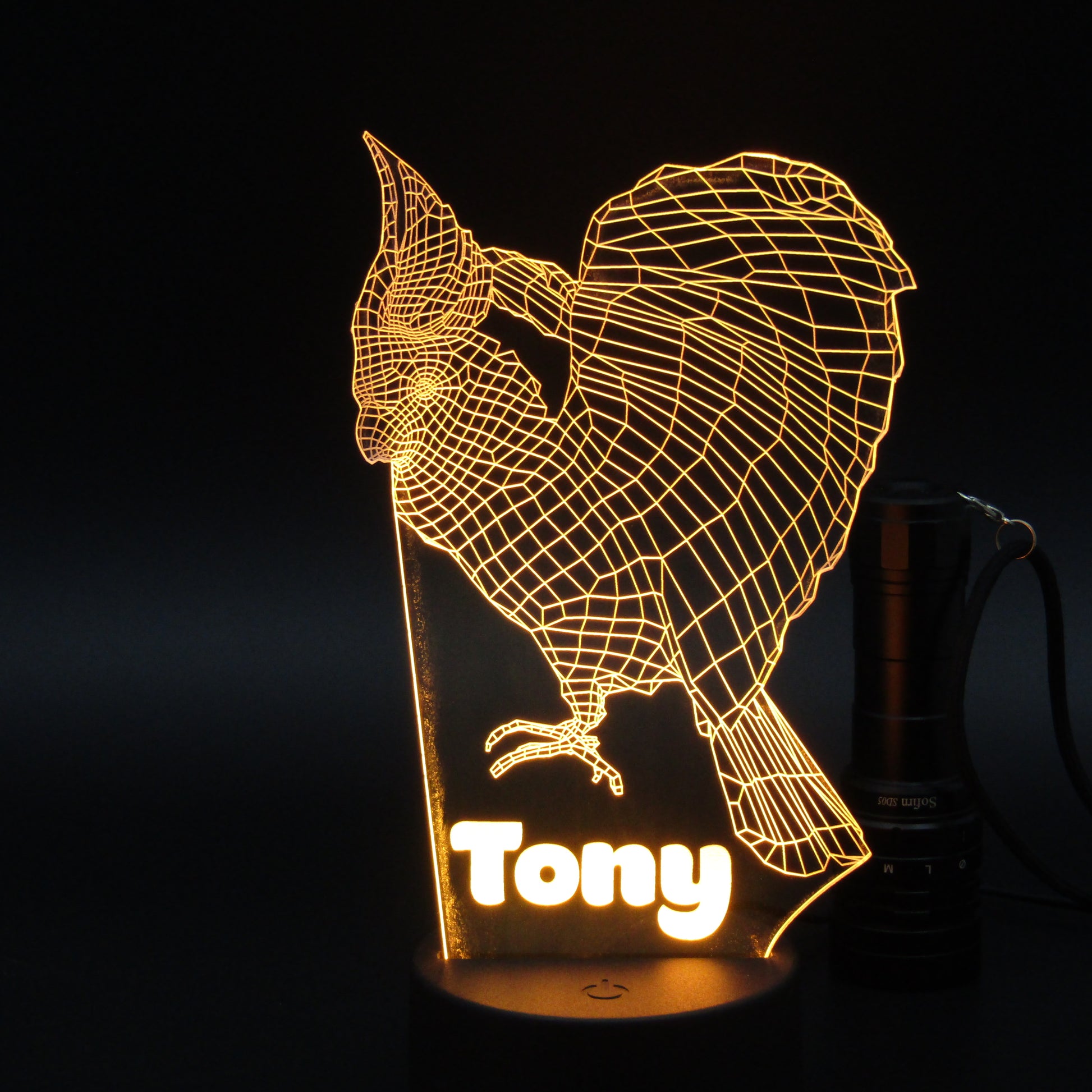 Personalized Rooster 3D night light