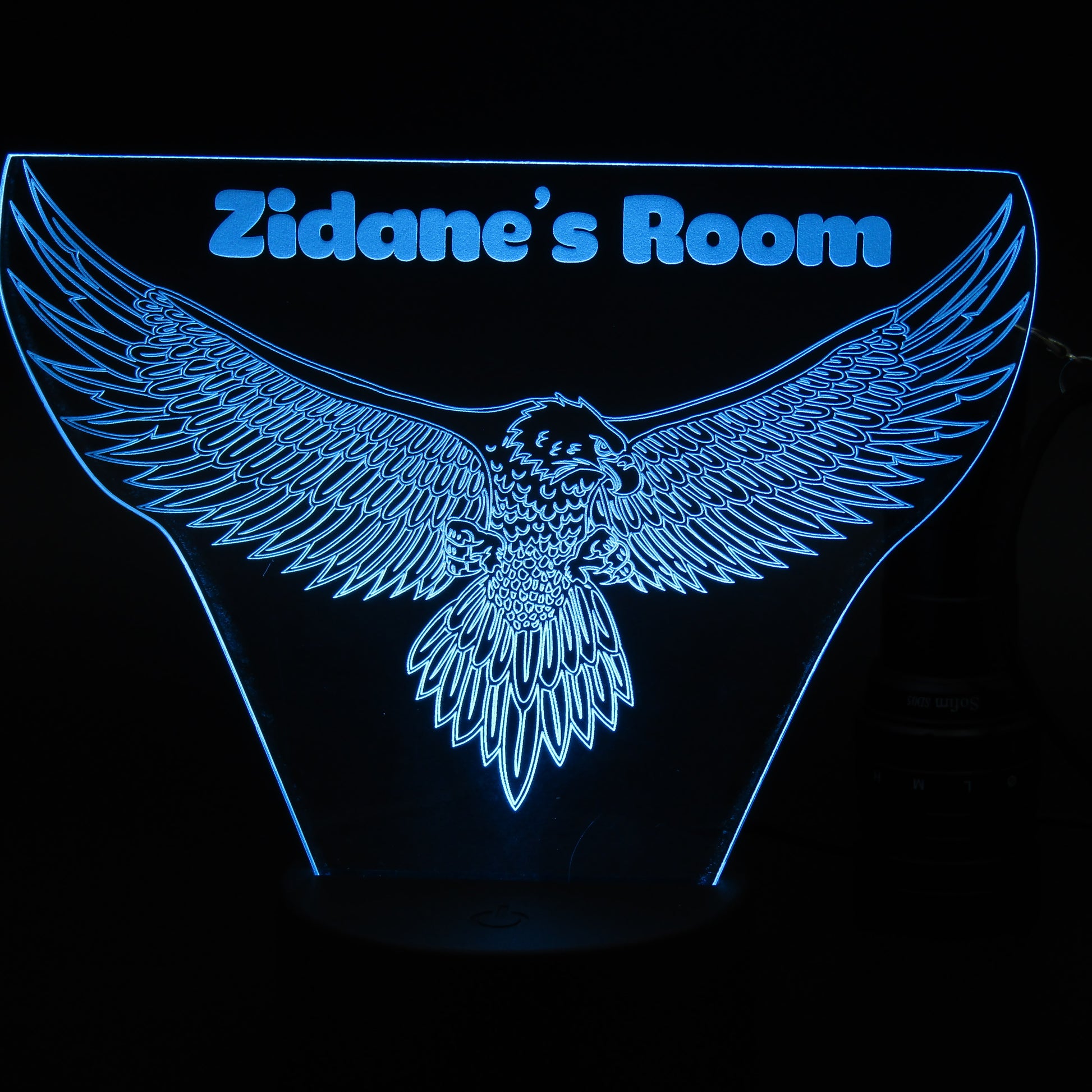 Personalized eagle bird 3D night light