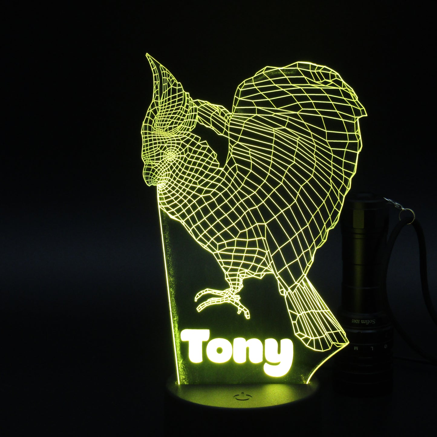 Personalized Rooster 3D night light