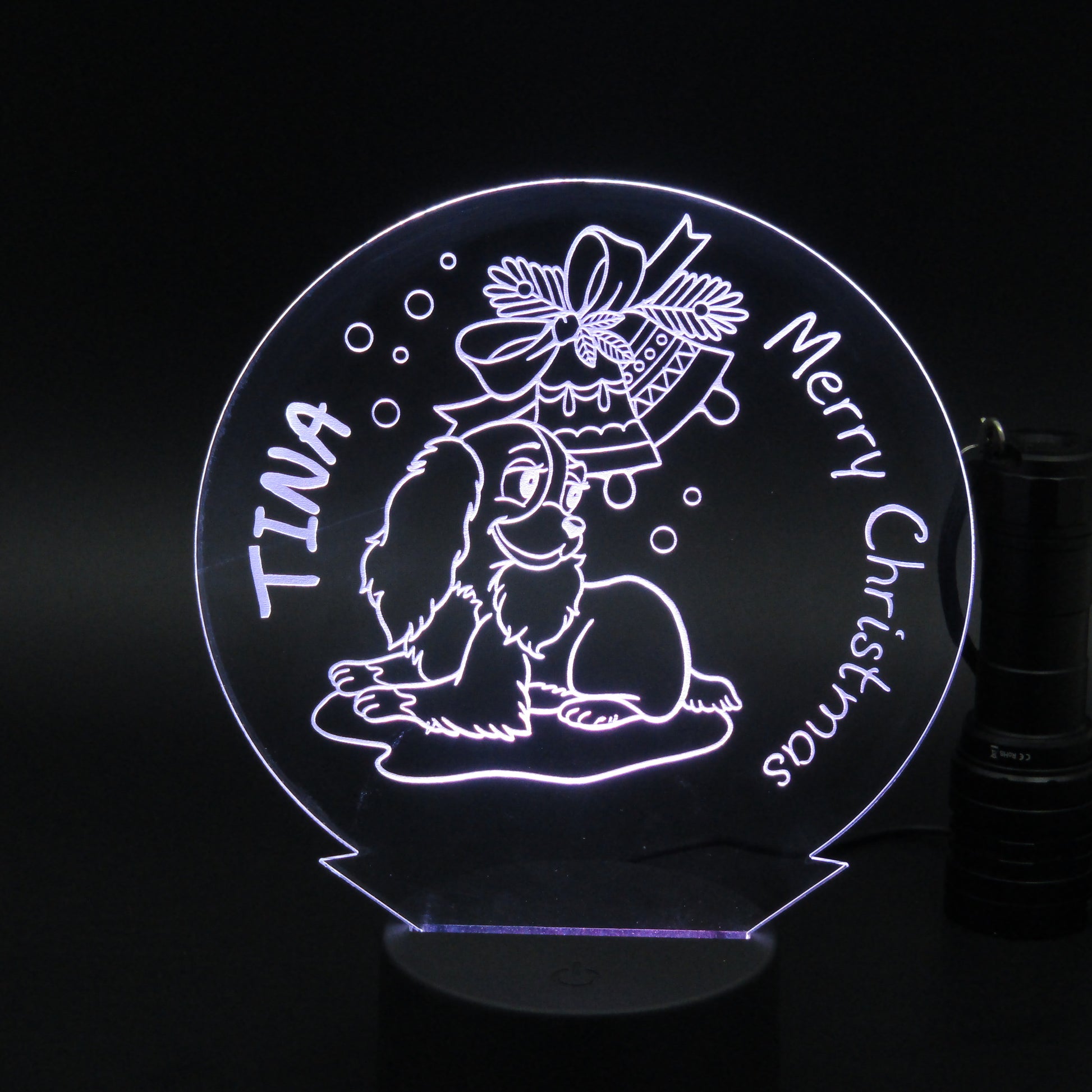 Personalized Christmas gift 3D night light