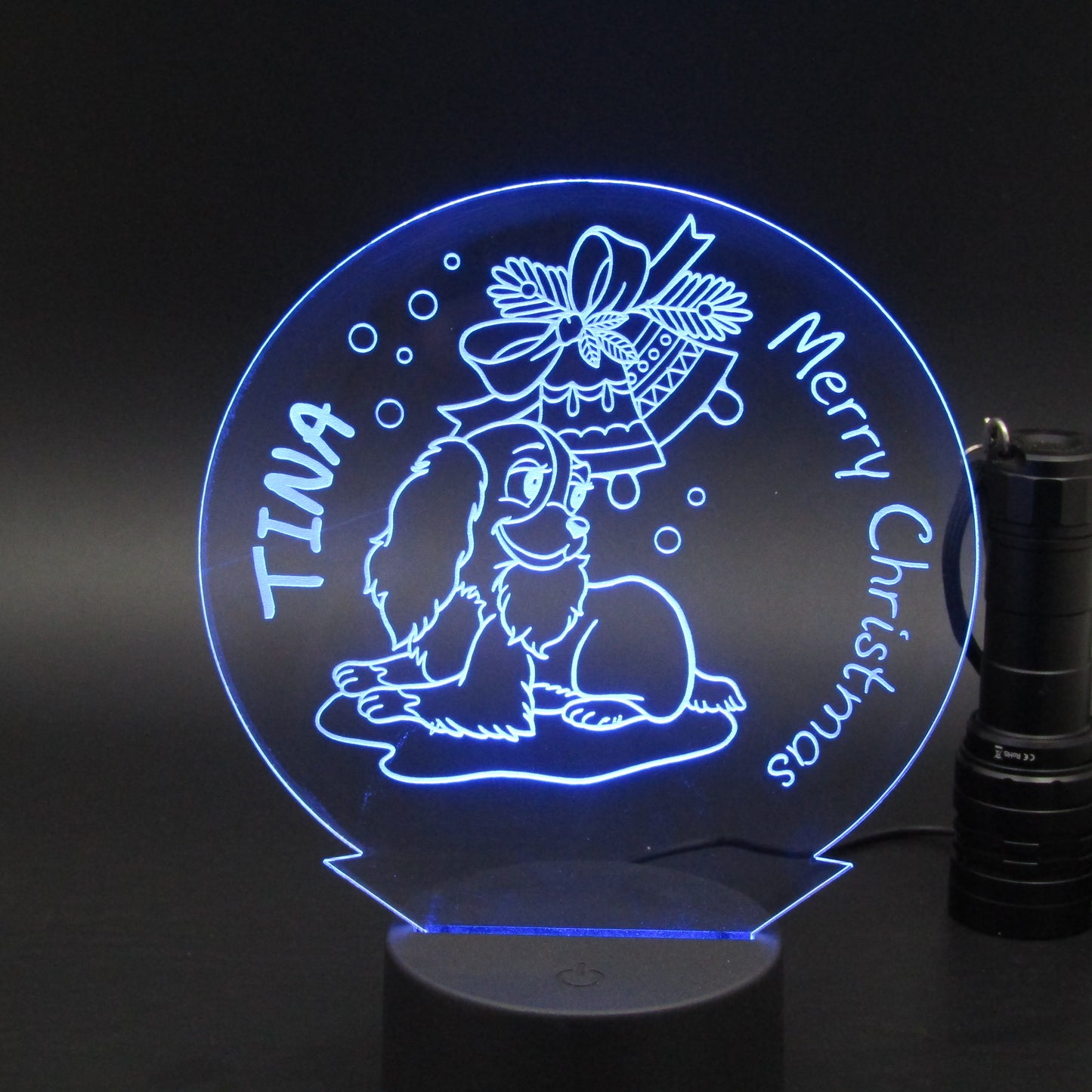 Personalized Christmas gift 3D night light