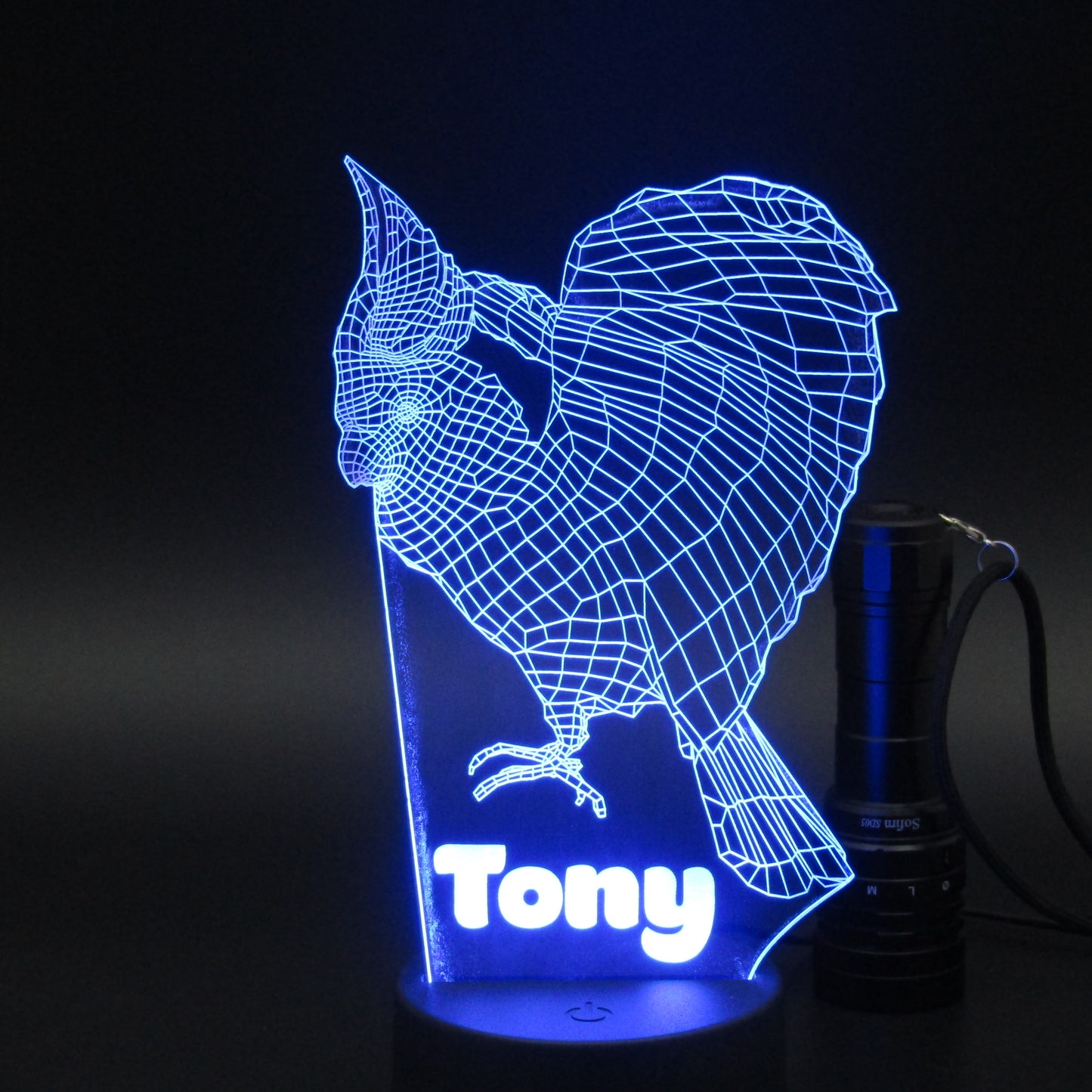 Personalized Rooster 3D night light